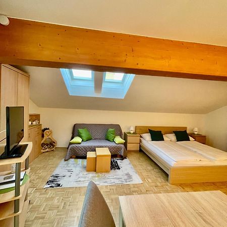 Apartment Ladinger Radstadt Eksteriør bilde